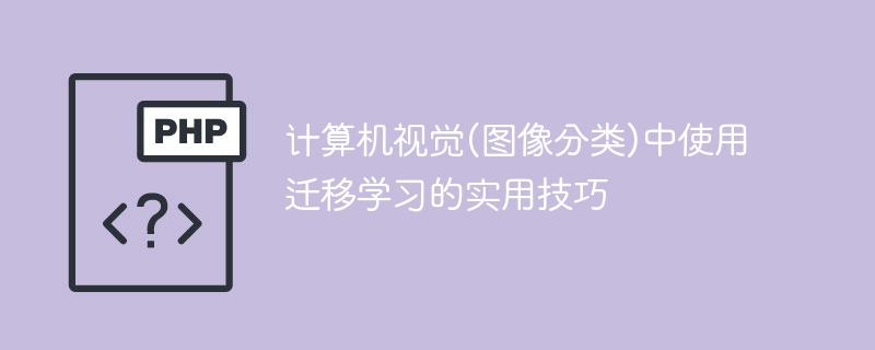 迁移学习在计算机视觉中的应用技巧