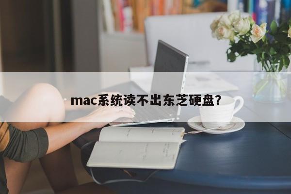 东芝硬盘在mac系统下无法识别?