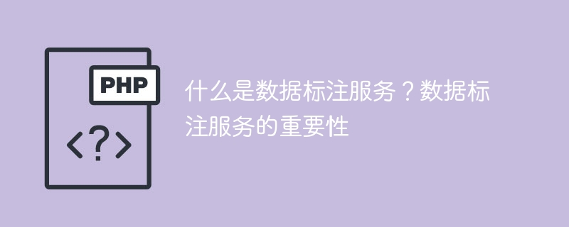 数据标注服务的定义及其重要性