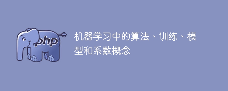 机器学习中的算法、训练、模型和权重概念