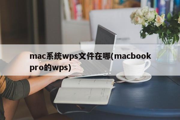 macbookpro的wps文件存储位置是什么?
