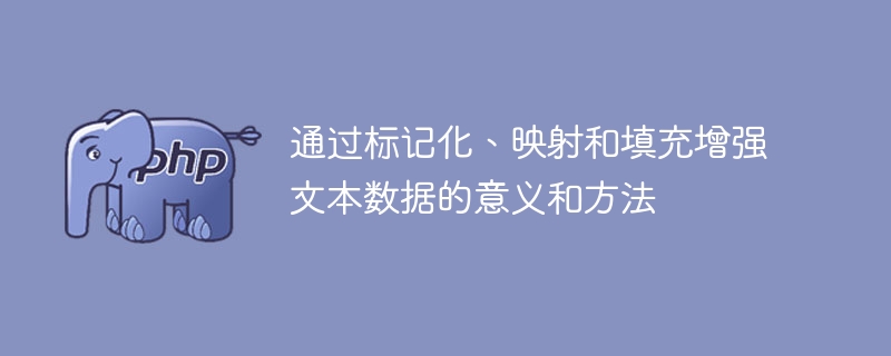 提升文本数据的意义和方法:标记化、映射和填充的应用