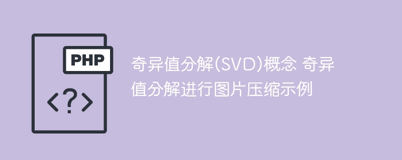 使用奇异值分解(SVD)进行图片压缩的示例及概念介绍