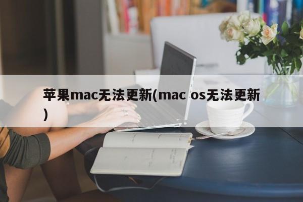 mac os无法更新，影响苹果mac的更新进程