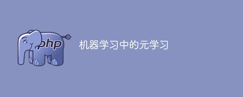 探究机器学习中的元学习概念