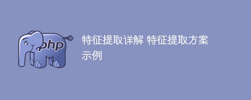 特征提取详解 特征提取方案示例
