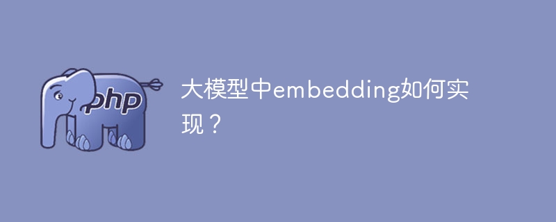 实施大型模型中的嵌入操作