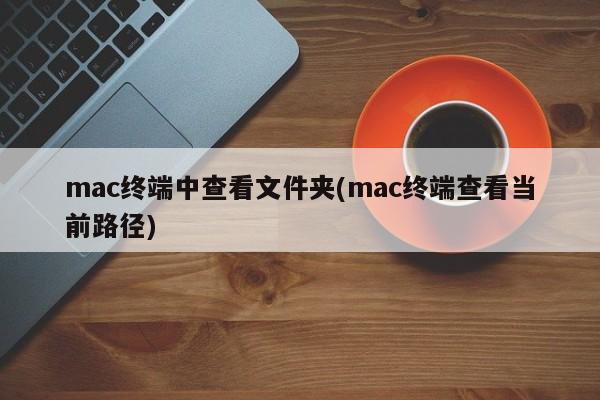 在mac终端中查看当前路径下的文件夹
