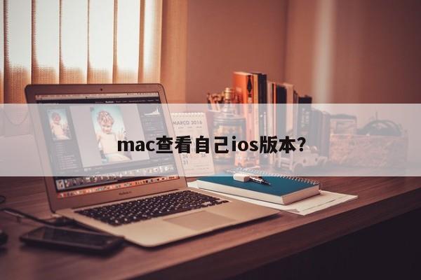 如何在Mac上查看iOS版本?