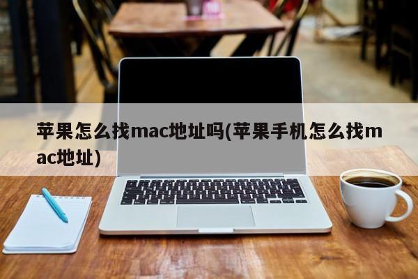 苹果手机如何查找MAC地址?