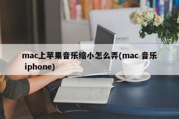 mac上的苹果音乐如何缩小大小(mac音乐 iPhonex)