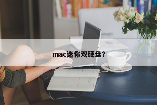 迷你Mac-双硬盘配置