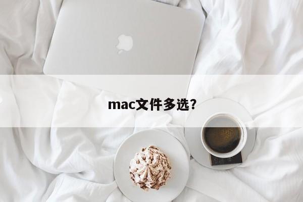 mac文件多选？