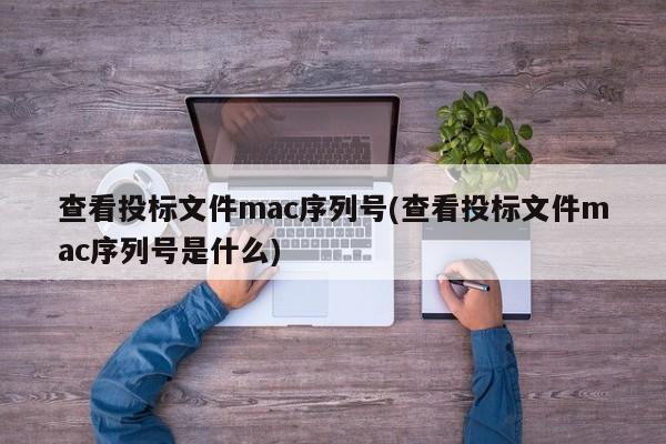 了解投标文件的mac序列号