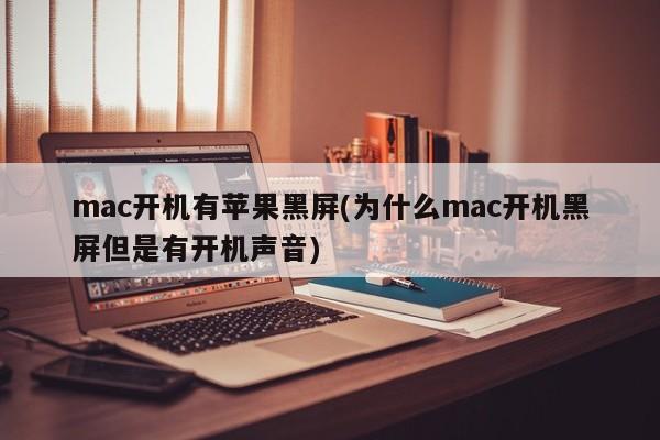mac开机后屏幕黑屏但有启动音(原因是什么?)
