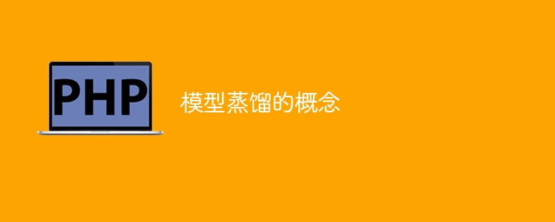 蒸馏模型的定义