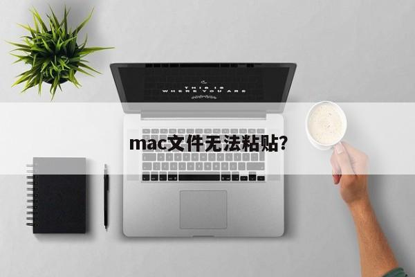 mac文件无法粘贴？