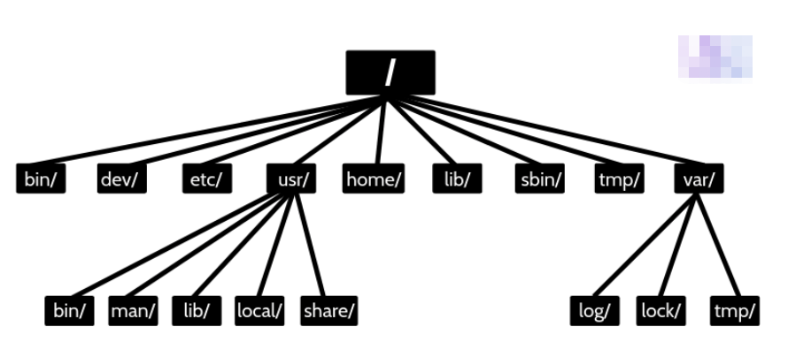 用Python如何处理包含多个文件的文件夹