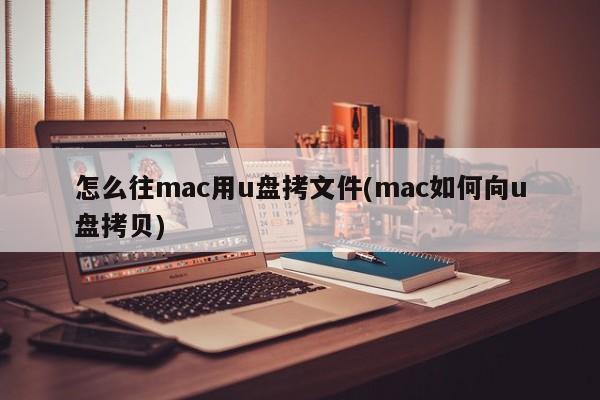 mac电脑如何将文件复制到U盘