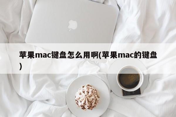苹果Mac电脑键盘如何使用?