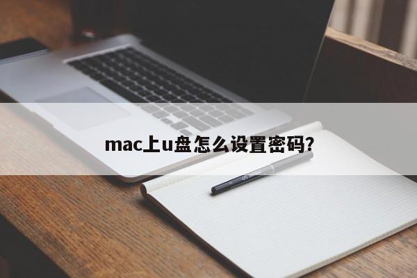 如何在Mac上为U盘设置密码？