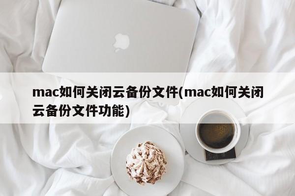 怎样在mac上禁用云备份功能?