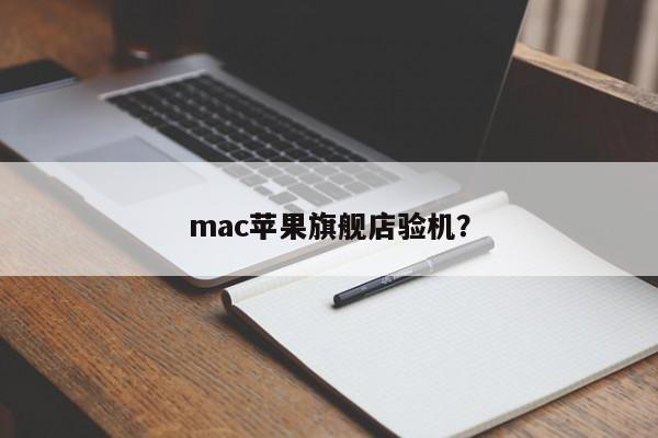 mac苹果旗舰店检测设备正常使用?