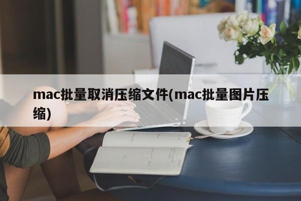 取消压缩文件:mac批量操作实现图片压缩