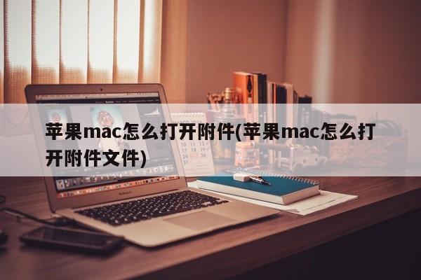 如何在苹果Mac上打开附件文件