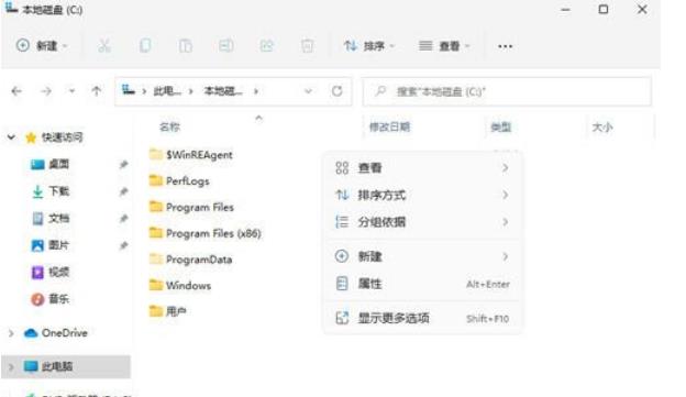 Win11隐藏文件怎么显示出来？win11隐藏文件显示设置方法
