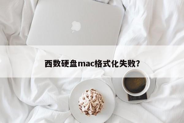 无法成功格式化西数硬盘Mac?