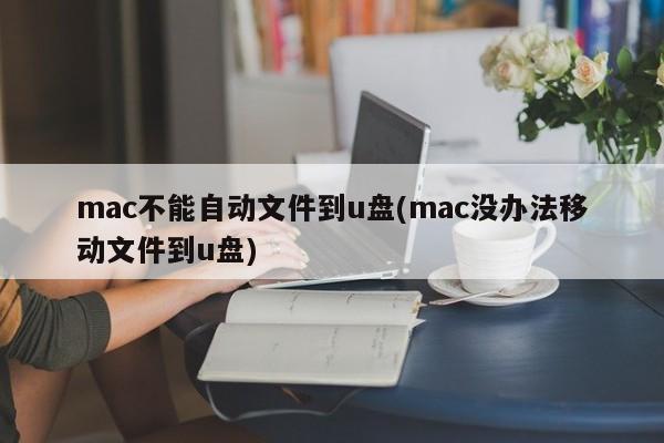 mac无法将文件自动复制到u盘(mac无法自动将文件复制到u盘)
