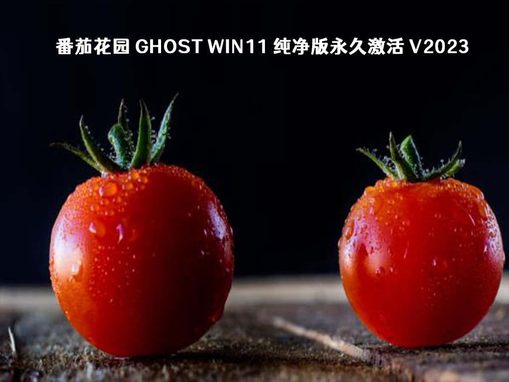目前公认最流畅的win11版本有哪些?win11目前最稳定的系统版本介绍