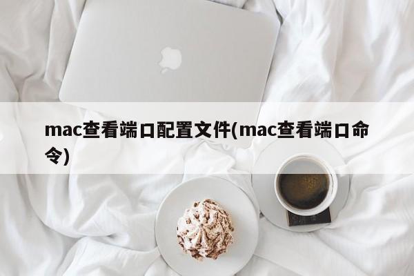 查看Mac上端口配置文件的方法