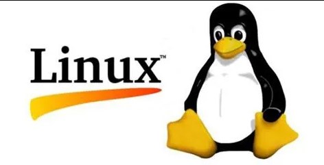 简化 ORM 体验:使用 PHP PDO 和 ActiveRecord