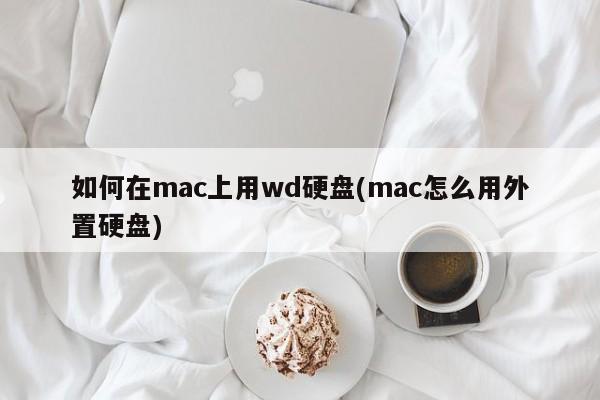 在Mac电脑上如何连接和使用WD硬盘