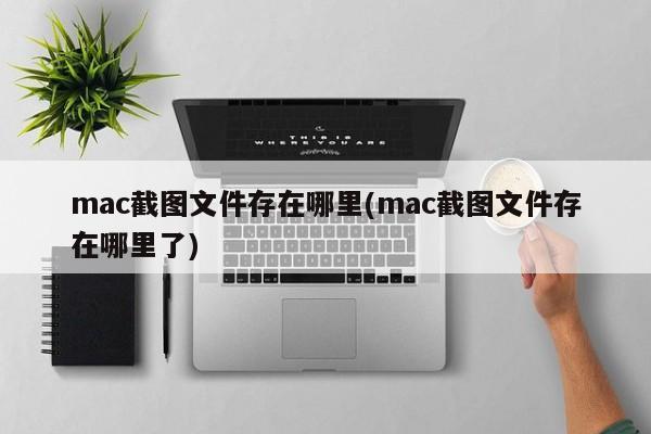 mac系统下截图文件保存在哪里?