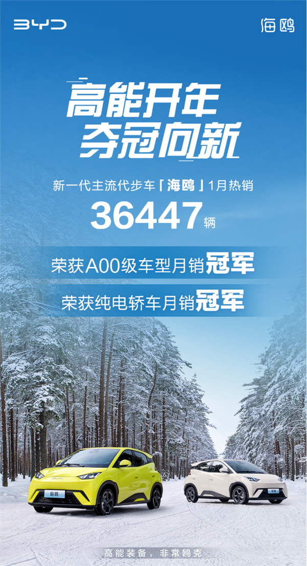 比亚迪海鸥称霸1月销量,成为A00级车和纯电轿车双料冠军
