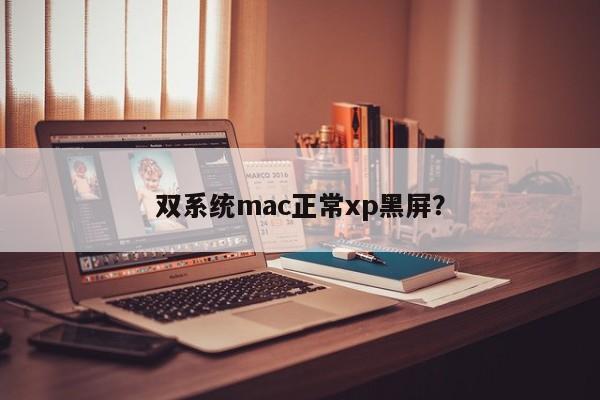 在Mac系统下使用XP时遇到黑屏问题?