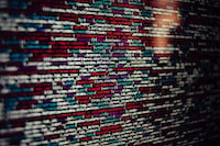 探秘计算机视觉先驱Python:解析图像识别的秘密