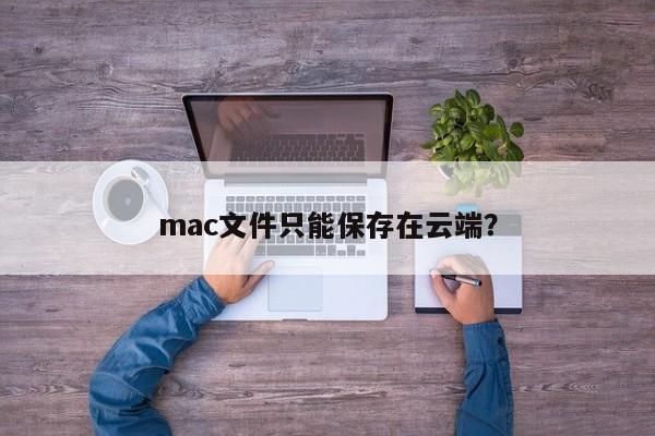 Mac文件只能存储在云端吗?