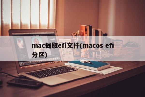 提取 macOS EFI 分区中的 EFI 文件