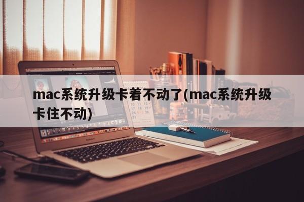 mac系统升级无法进行(mac系统升级停滞不前)