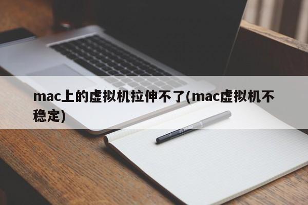 Mac虚拟机突遇拉伸问题