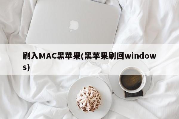 从黑苹果切换回Windows操作系统