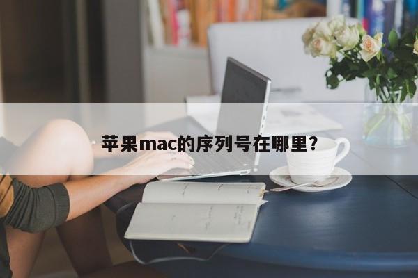 如何查找苹果Mac的序列号?
