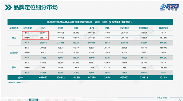 PHEV销售激增,问鼎市场领导者——2024年1月新能源汽车市场分析报告