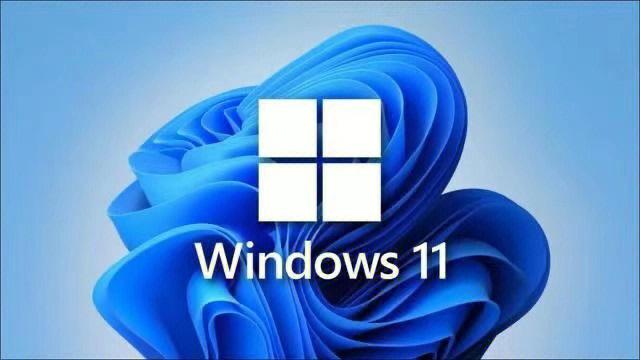 如何在Win11沙盒中保存数据
