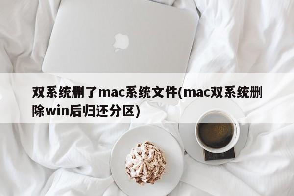 删除mac操作系统文件后，恢复win分区（删除双系统中的mac系统文件并还原分区）