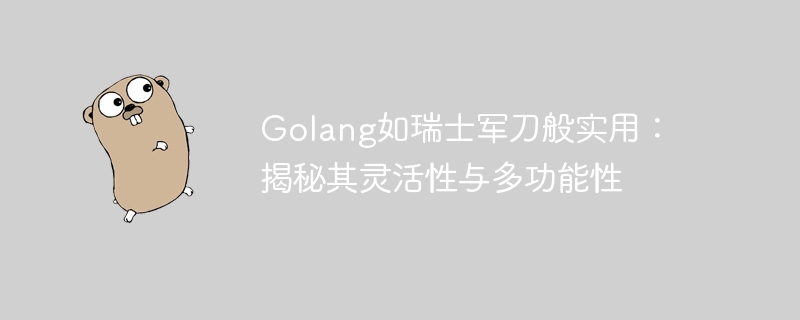 Golang如瑞士军刀般实用:揭秘其灵活性与多功能性